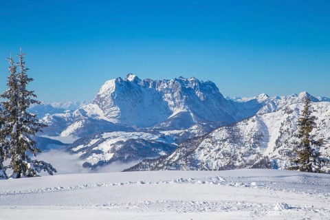 View of the Wilder Kaiser