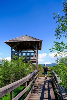 Viewing tower
