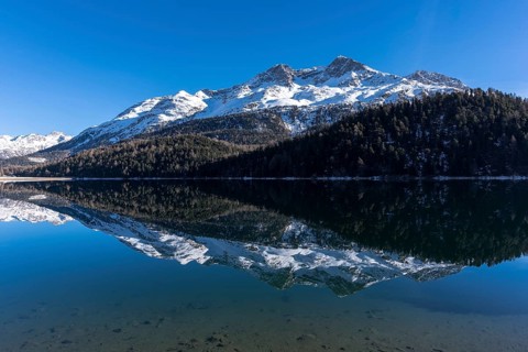 Reflection of Piz Rosatsch in Lake Champferer in the Engadine