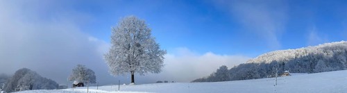 Snow and hoarfrost