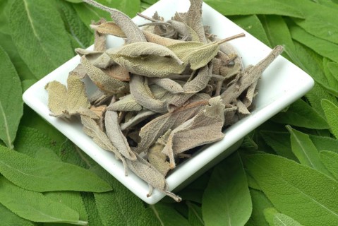 Common sage