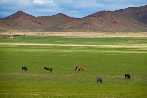 Open tibetan landscape along the road from Gerze to Tsochen