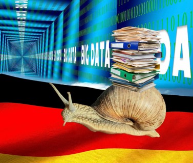 Bureaucracy snail