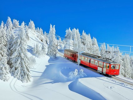 Cogwheel railway travelling through snow-covered forest