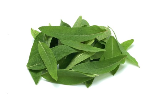 Common sage