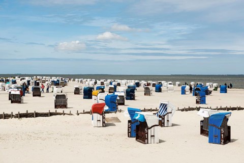 Beach chairs on the sandy beach