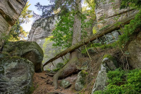 Prachovske Rocks