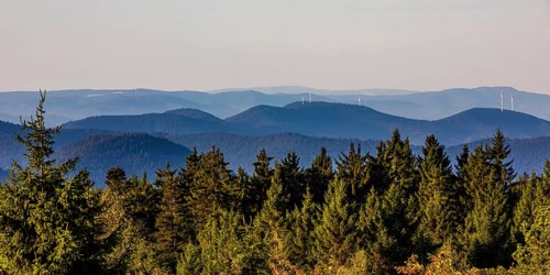 View from Schliffkopf over forest