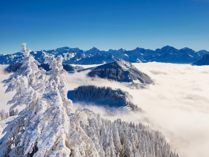 Winter landscape