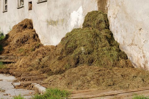 Dung heap in front of a farm