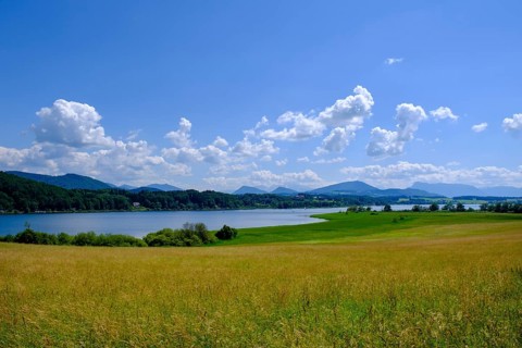 Wenger Moor