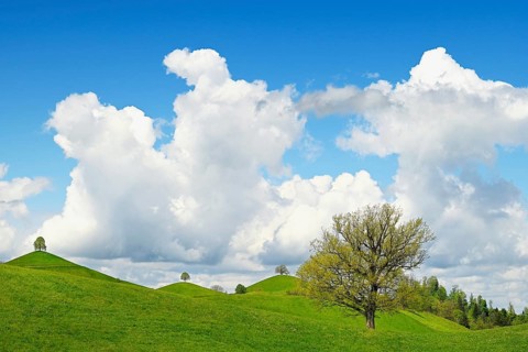 Moraine landscape