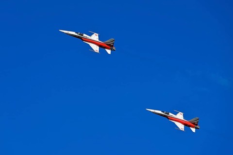 Formation flight of the Patrouille Suisse with the Northrop F-5E Tiger II