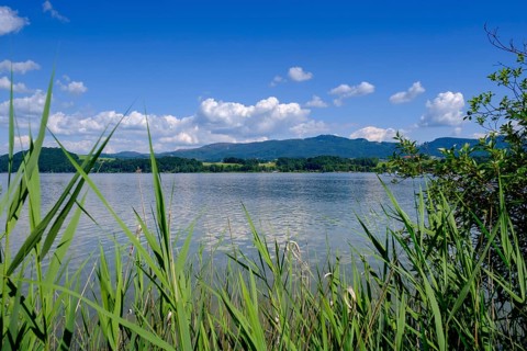 Wallersee-Zell am Wallersee