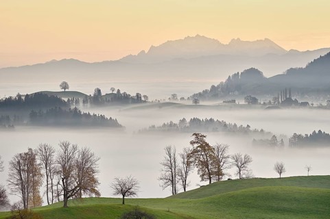 Meadows and trees in autumnal early morning mist