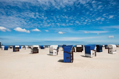 Beach chairs on the sandy beach