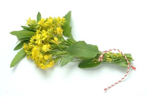 Black mustard