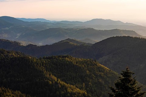 View from Schliffkopf over forest and mountains