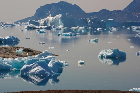 Icebergs reflected in a fjord