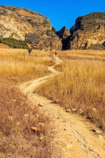 Trekker on a road going through the Isalo National Park