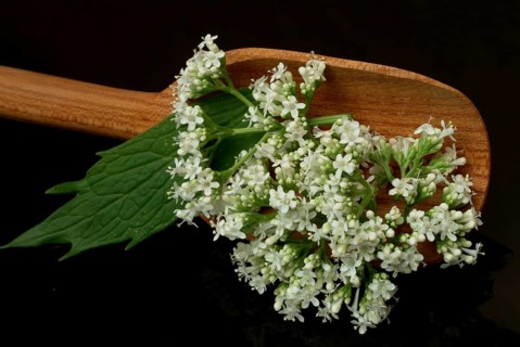 Valerian