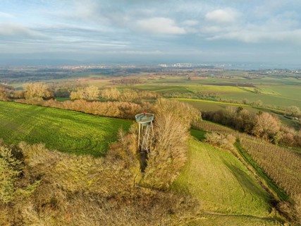 Lookout tower with view of western Lake Constance