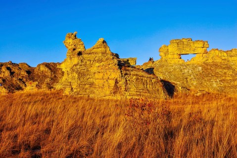 Savannah at sunset in the Isalo National Park