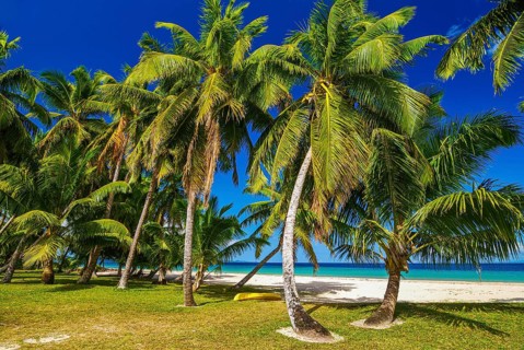 Palm trees on a white sand beach on the Island Ile Sainte-Marie although Nosy Boraha