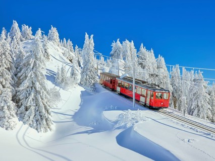 Cogwheel railway travelling through snow-covered forest
