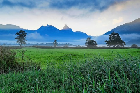 Morning atmosphere at Lake Lauerz with reed belt
