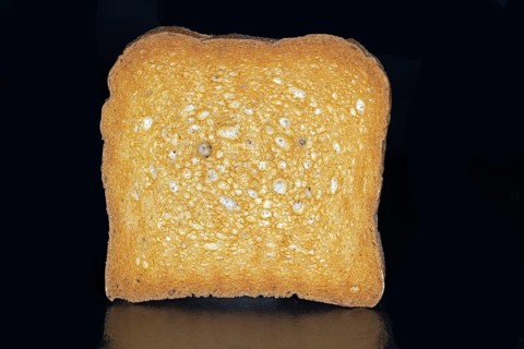 A slice of rusk