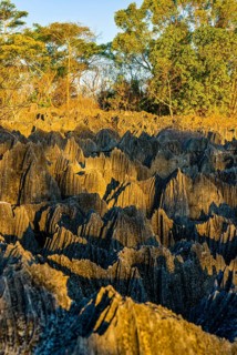Unesco world heritage sight Tsingy de Bemaraha Strict Nature Reserve