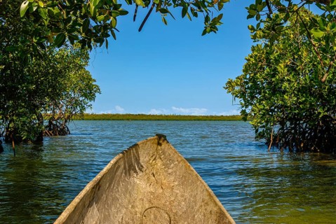 Mangroves on the island Ile Sainte-Marie although Nosy Boraha