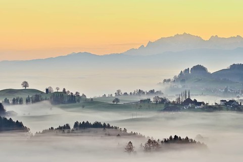 Meadows and trees in autumnal early morning mist