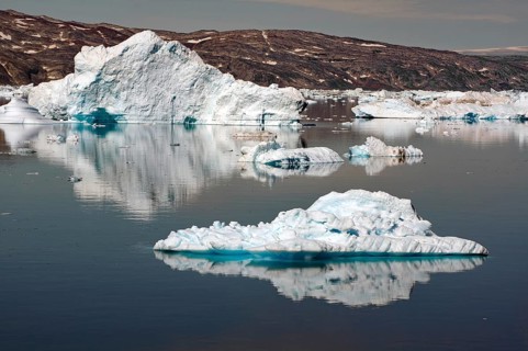Icebergs reflected in a fjord