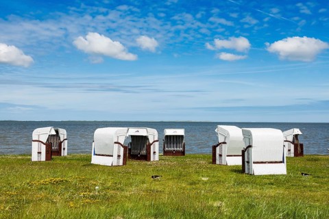 Beach chairs
