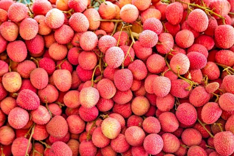 Large group of Fresh ripe litchi