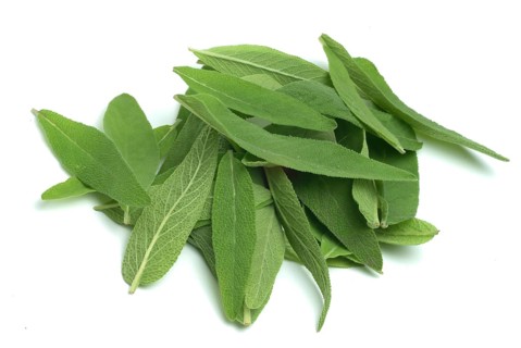 Common sage