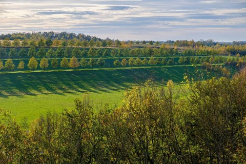 Recreational area Neue Landschaft Ronneburg