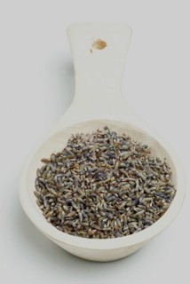 True lavender or narrow-leaved lavender