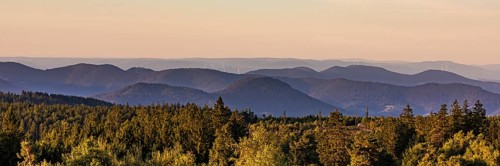 Panorama view from Schliffkopf over forest and mountains