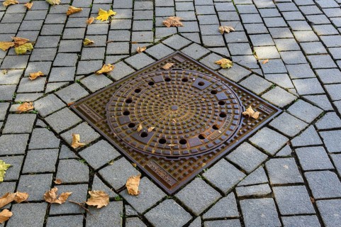 Manhole cover with autumn leaves