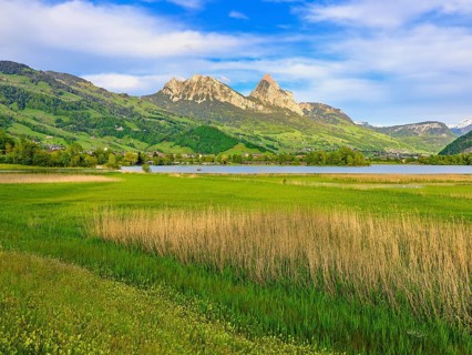 Reed belt on Lake Lauerz behind the Great and Small Myths