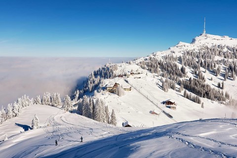 Winter Landscape