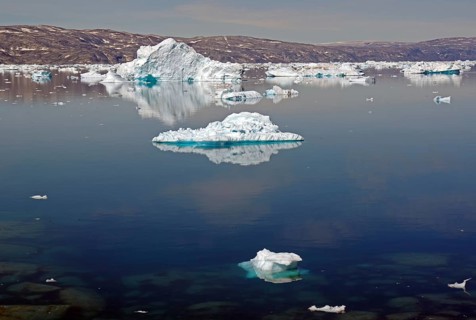 Icebergs reflected in a fjord