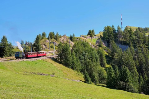 Steam train approaching Rigikulm