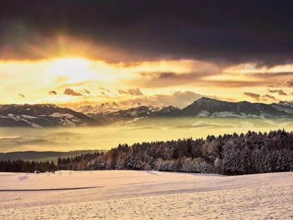 Snowy forest at sunrise behind Rigi
