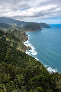 View of steep forested coast and sea