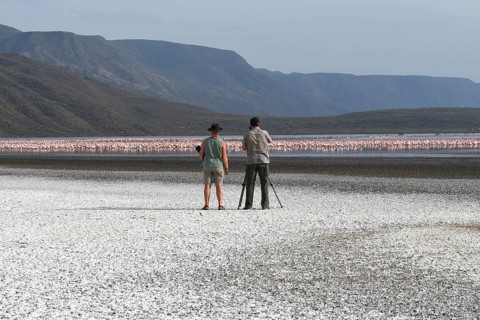 Photographer taking pictures of flamingos