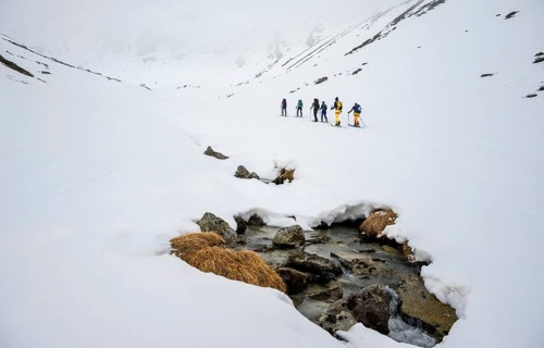 Ski tourers in winter